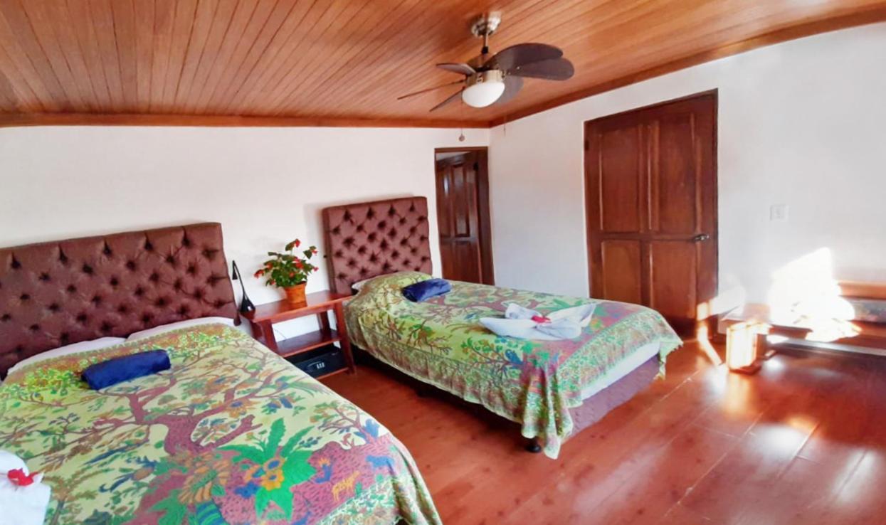 Luna Inn B&B Ciudad Cariari Dış mekan fotoğraf